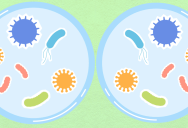 Concerned Scientists Experimenting With Hypothesised Mirror Microbes Suggest Halting The Experiments For Good