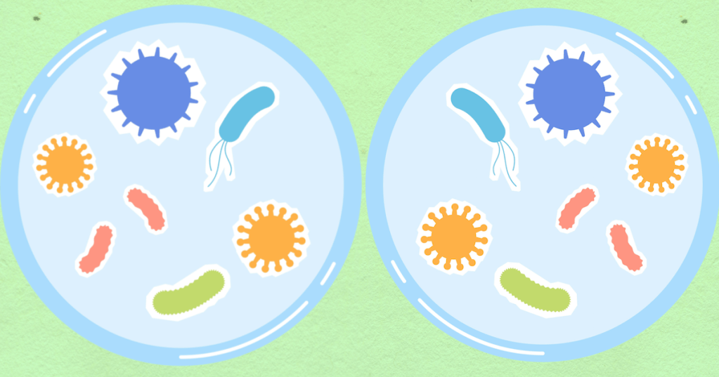Mirrored microbes in petri dishes