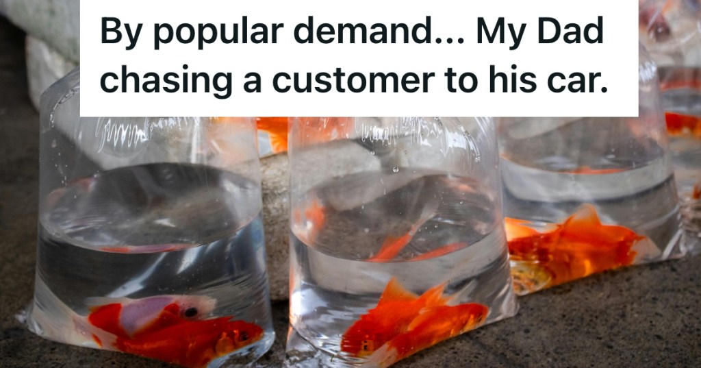 Plastic bags containing goldfish