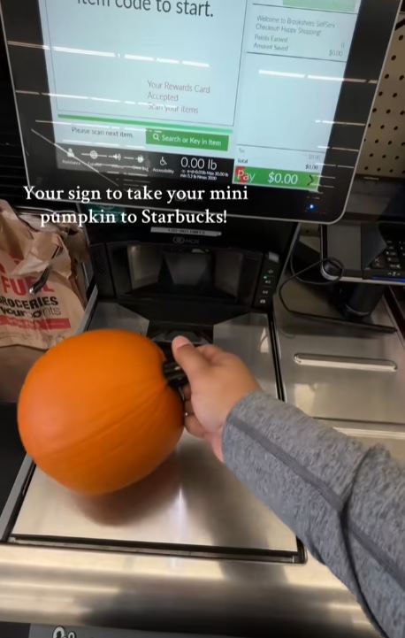 Buying a small pumpkin
