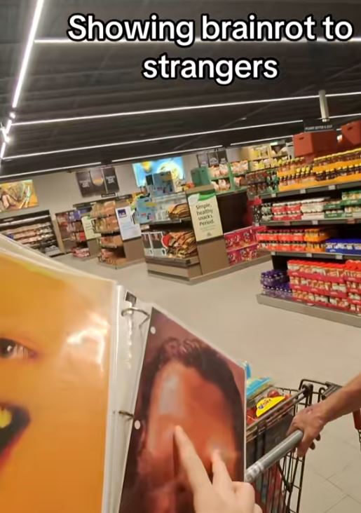 Printed Brain Rot Images