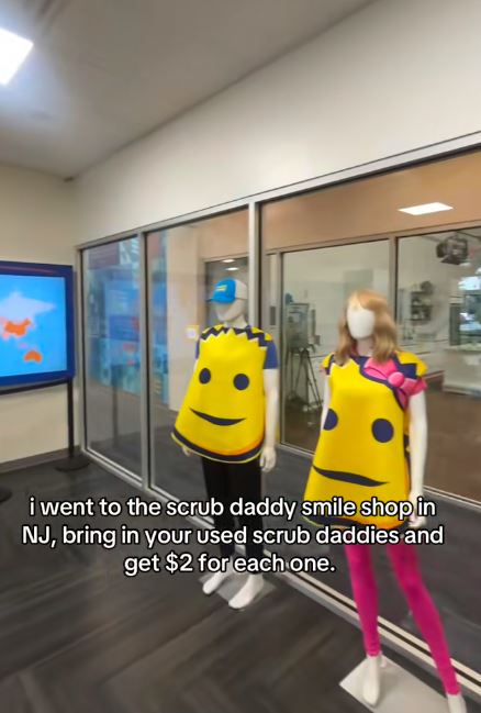 Scrub Daddy costumes