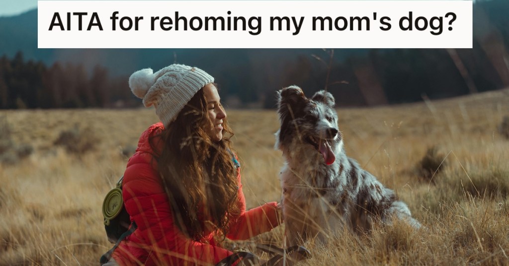 Woman sitting with a dog in a field of grass