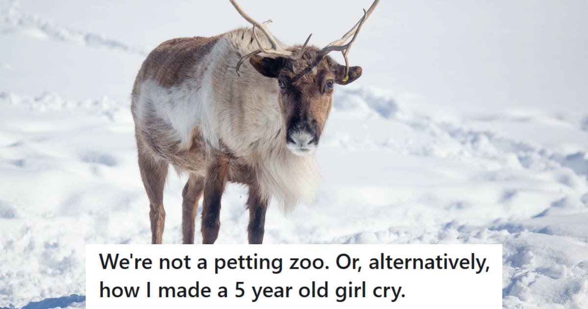 Large Reindeer standing in the snow looking at the camera