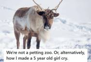 Reindeer Handler Told A Little Girl She Couldn’t Pet The Animals To Protect Their Health, But Her Attempt To Be Kind Left The Girl Crying Instead