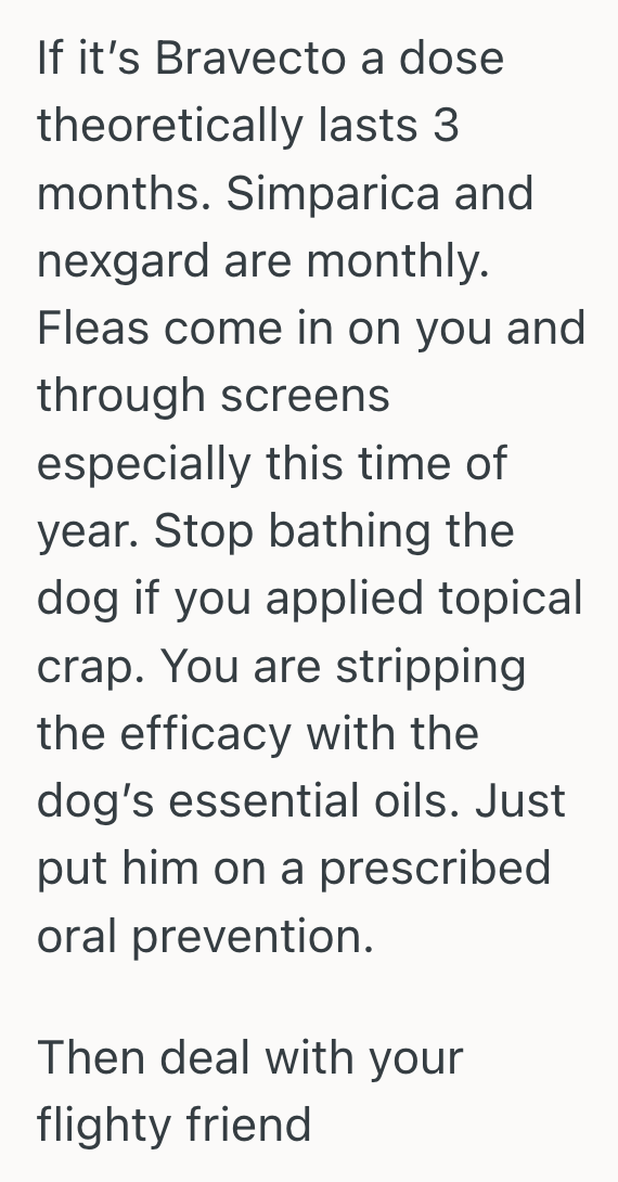 Screenshot 2025 10 01 at 1.13.11 PM Dogsitter Tried To Help A Friend By Watching His Dog, But He Repaid Her With Fleas, Stress, And A Ruined Friendship