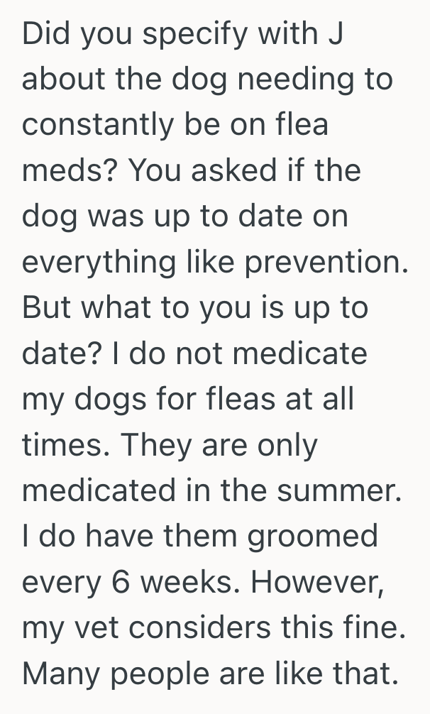 Screenshot 2025 10 01 at 1.15.47 PM Dogsitter Tried To Help A Friend By Watching His Dog, But He Repaid Her With Fleas, Stress, And A Ruined Friendship