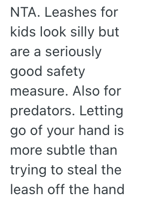 Screenshot 2025 10 01 at 11.56.23 AM A Mom Got Her Son A Leash Because He Kept Running Away In Public, And A Neighbor Told Her Shes A Horrible Mother