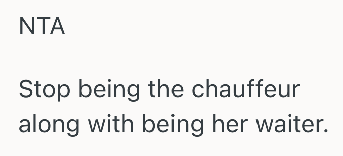 Screenshot 2025 10 03 at 2.56.21 PM Brother Drove His Sister And Friend To The Food Court, But Told Her She Could Go Get French Fries Herself And Now She Is Punishing Him For It