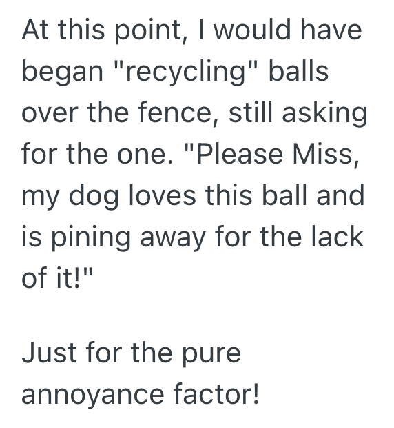 Screenshot 2025 10 03 at 4.30.00 PM Neighbor Refuses To Give Back Any Balls That Go Over The Fence, So Kid Buys 200 Tennis Balls And Starts Throwing Them There Purposefully