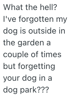 Screenshot 2025 10 03 at 7.29.53 AM An Animal Lover Was Confronted At A Dog Park By A Rude Man Who Didnt Want Other Animals Interfering With The Photo Shoot He Was Doing With His Dog