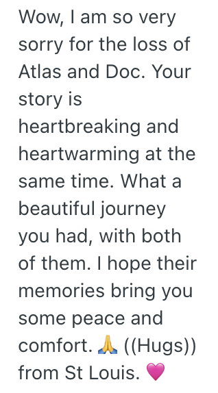 Screenshot 2025 10 05 at 2.55.55 PM A Fan Became Close Friends With Their Favorite Author, So When Their Pet Goat Passed, The Author Unexpectedly Dedicated A Book To The Late Animal