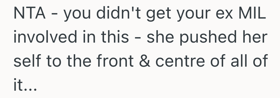Screenshot 2025 10 07 at 9.44.26 PM Mom Took Her Son To An Amusement Park For His Birthday, And When Her Ex Mother In Law Found Out, She Accused Her Of Spending Her Sons Money