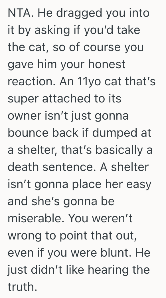 Screenshot 2025 10 10 at 5.33.09 PM Womans Ex Wants Her To Take His Cat Since His New Girlfriend Is Allergic, But She Makes A Suggestion That He Finds Rude