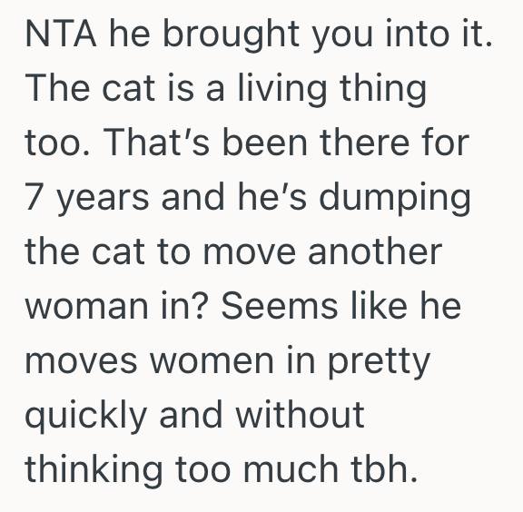 Screenshot 2025 10 10 at 5.33.26 PM Womans Ex Wants Her To Take His Cat Since His New Girlfriend Is Allergic, But She Makes A Suggestion That He Finds Rude