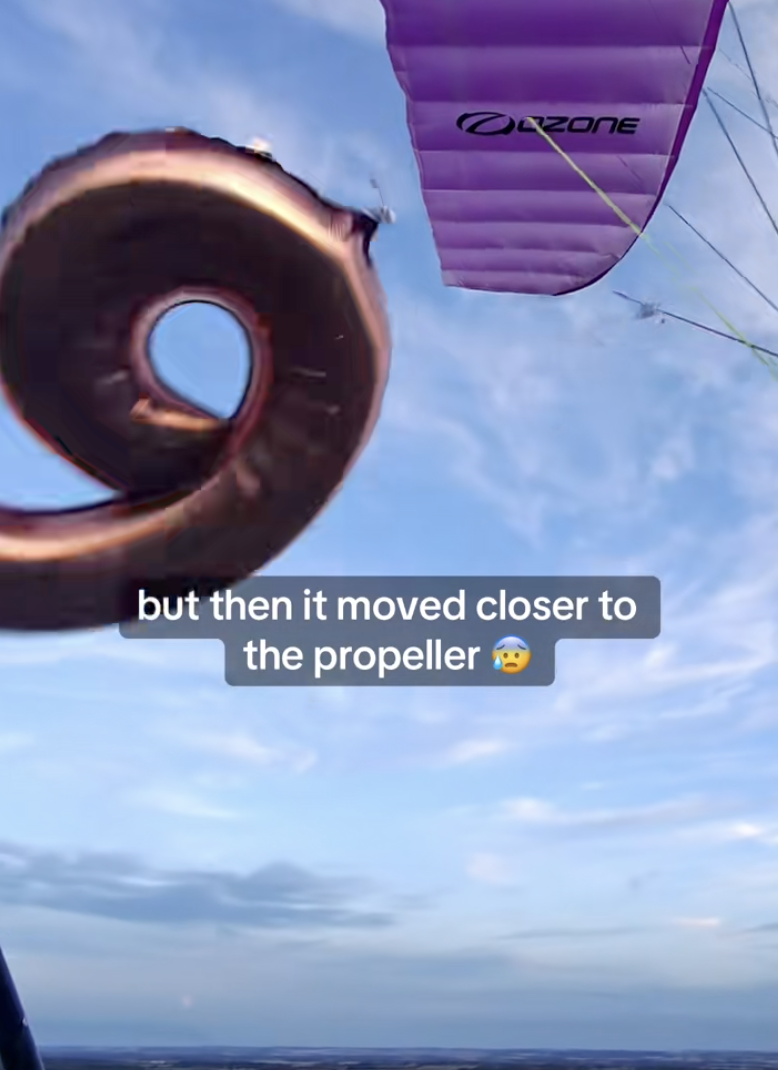 balloon caught in a paraglider
