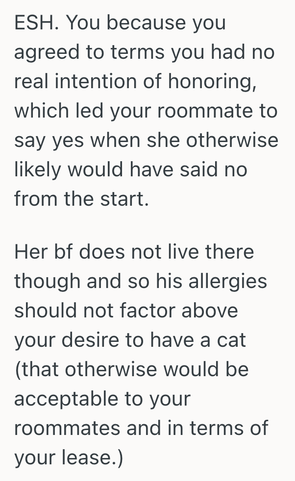 Screenshot 2025 10 11 at 2.45.13 PM Woman Adopts Cat, But Her Roommate Wants Her To Rehome The Cat Because Her Boyfriend Is Allergic