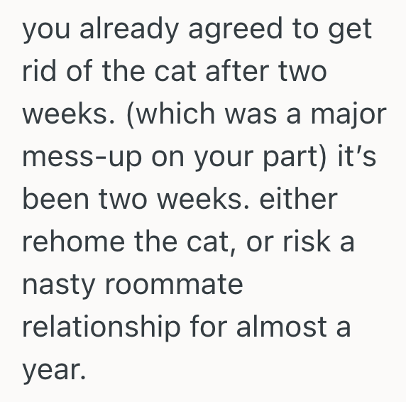 Screenshot 2025 10 11 at 2.45.30 PM Woman Adopts Cat, But Her Roommate Wants Her To Rehome The Cat Because Her Boyfriend Is Allergic