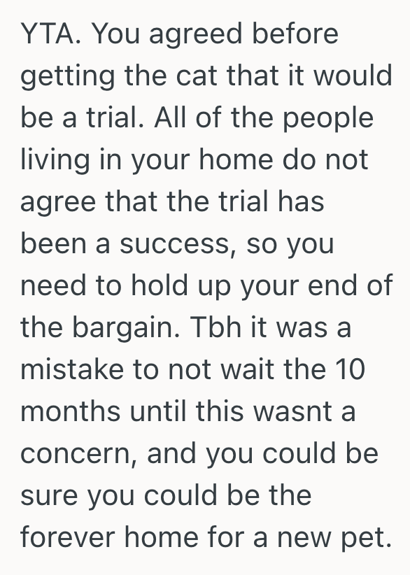Screenshot 2025 10 11 at 2.45.54 PM Woman Adopts Cat, But Her Roommate Wants Her To Rehome The Cat Because Her Boyfriend Is Allergic