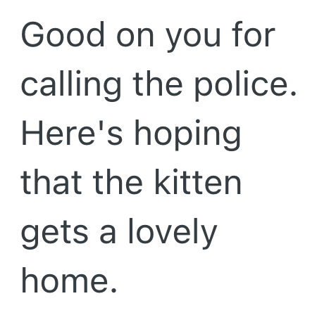 Screenshot 2025 10 12 at 11.56.09 PM Customer Returned A Cat She Had Adopted, But The Cat Was Showing Signs Of Abuse And This Animal Shelter Owner Called The Police