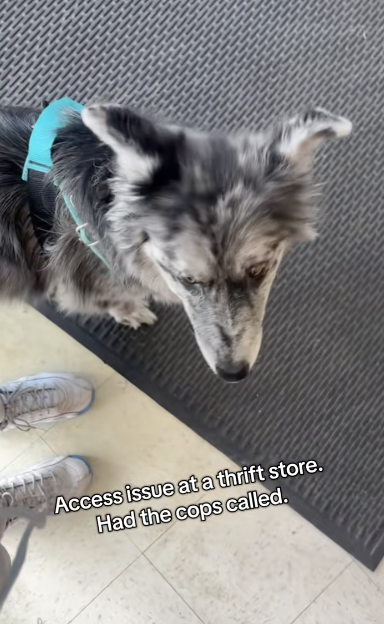 woman with a service dog