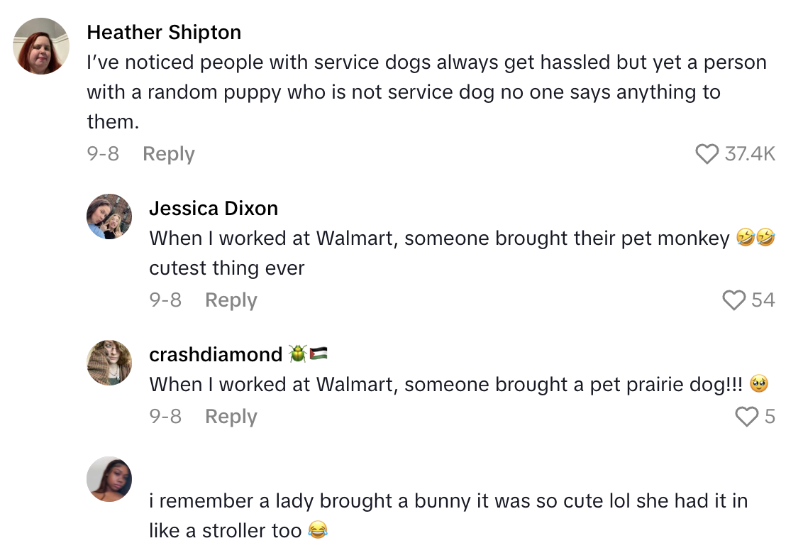Screenshot 2025 10 12 at 5.29.22 PM A Service Dog Owner Wasnt Allowed Into A Store With Her Pet, So She Threatened To Call The Police