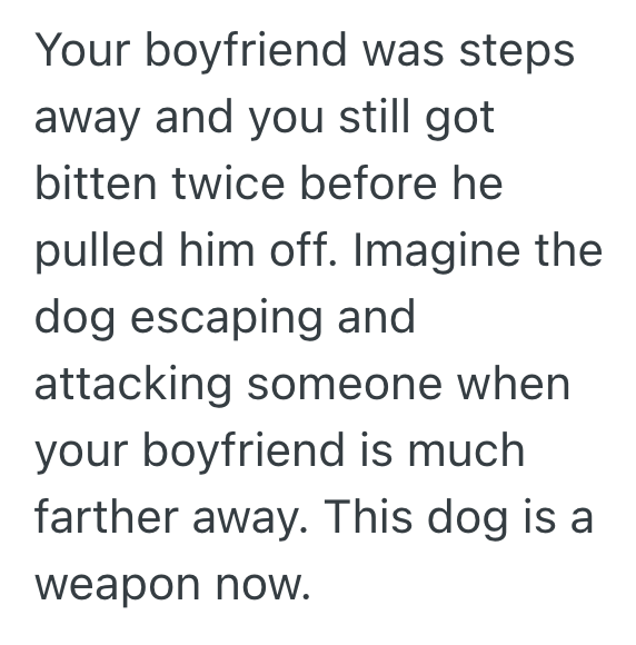Screenshot 2025 10 12 at 9.46.50 PM Womans Live In Boyfriends Dog Sent Her To The ER, So She Tells Her Boyfriend He And His Dog Need To Move Out