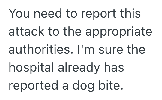 Screenshot 2025 10 12 at 9.47.42 PM Womans Live In Boyfriends Dog Sent Her To The ER, So She Tells Her Boyfriend He And His Dog Need To Move Out