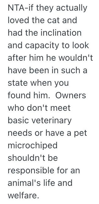 Screenshot 2025 10 14 at 12.57.12 PM A Good Samaritan Took In A Stray Cat, But Now They Dont Want To Give Him Back To The Woman Who Posted On Facebook That She Lost Him
