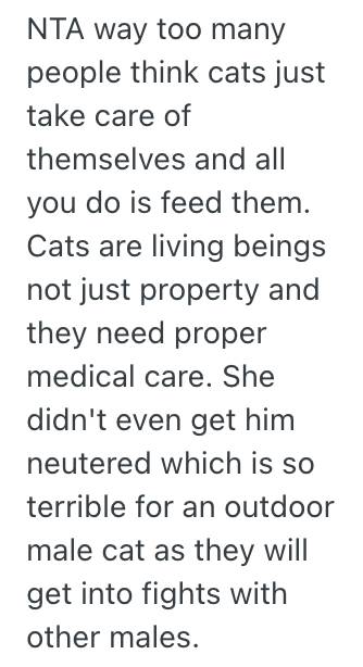 Screenshot 2025 10 14 at 12.57.20 PM A Good Samaritan Took In A Stray Cat, But Now They Dont Want To Give Him Back To The Woman Who Posted On Facebook That She Lost Him