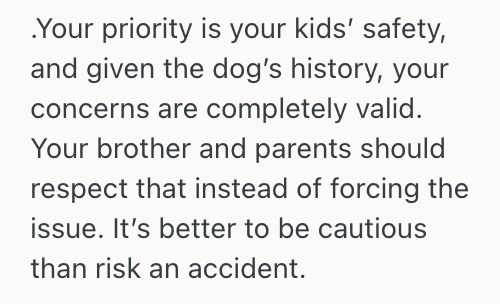 Screenshot 2025 10 14 at 3.08.43 PM Woman Found Out That Her Brother Didnt Move His Dog Out Of The House During Her Visit, So She Refused To Stay With Them To Protect Her Young Kids