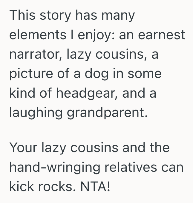 Screenshot 2025 10 14 at 3.40.54 PM Lazy Cousins Refused To Participate In A Thoughtful Family Gift, So Teen Turned Their Absence Into A Humorous Surprise