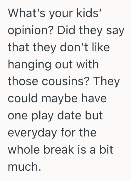 Screenshot 2025 10 14 at 5.13.21 PM Parents Wanted Their Kids To Enjoy Fall Break With Neighborhood Friends, But They Faced Tension With Their Sister In Law Who Insisted On Exclusive Cousin Time