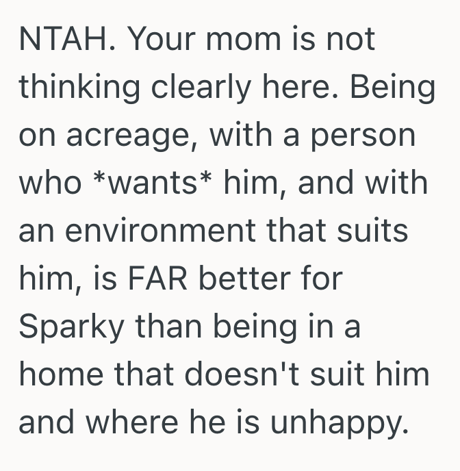 Screenshot 2025 10 17 at 12.00.54 AM Her Moms Dog Was Becoming Too Difficult For Her Family To Handle, So This Woman Rehomed The Dog Despite Her Mothers Objections