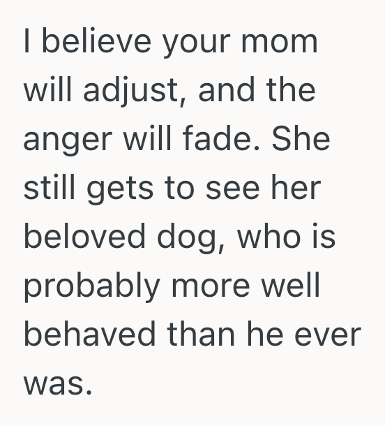 Screenshot 2025 10 17 at 12.02.24 AM Her Moms Dog Was Becoming Too Difficult For Her Family To Handle, So This Woman Rehomed The Dog Despite Her Mothers Objections