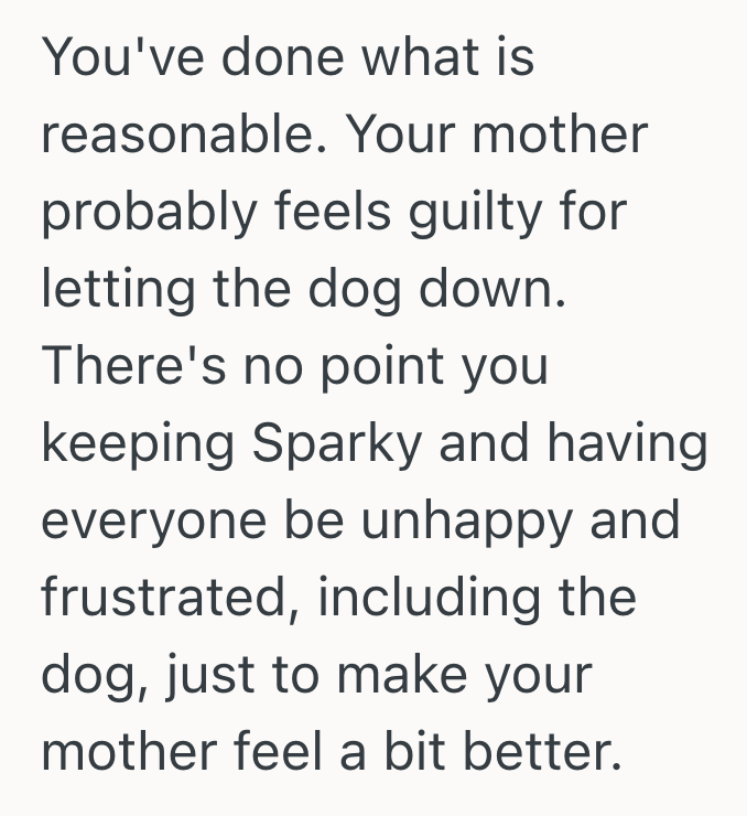 Screenshot 2025 10 17 at 12.04.02 AM Her Moms Dog Was Becoming Too Difficult For Her Family To Handle, So This Woman Rehomed The Dog Despite Her Mothers Objections