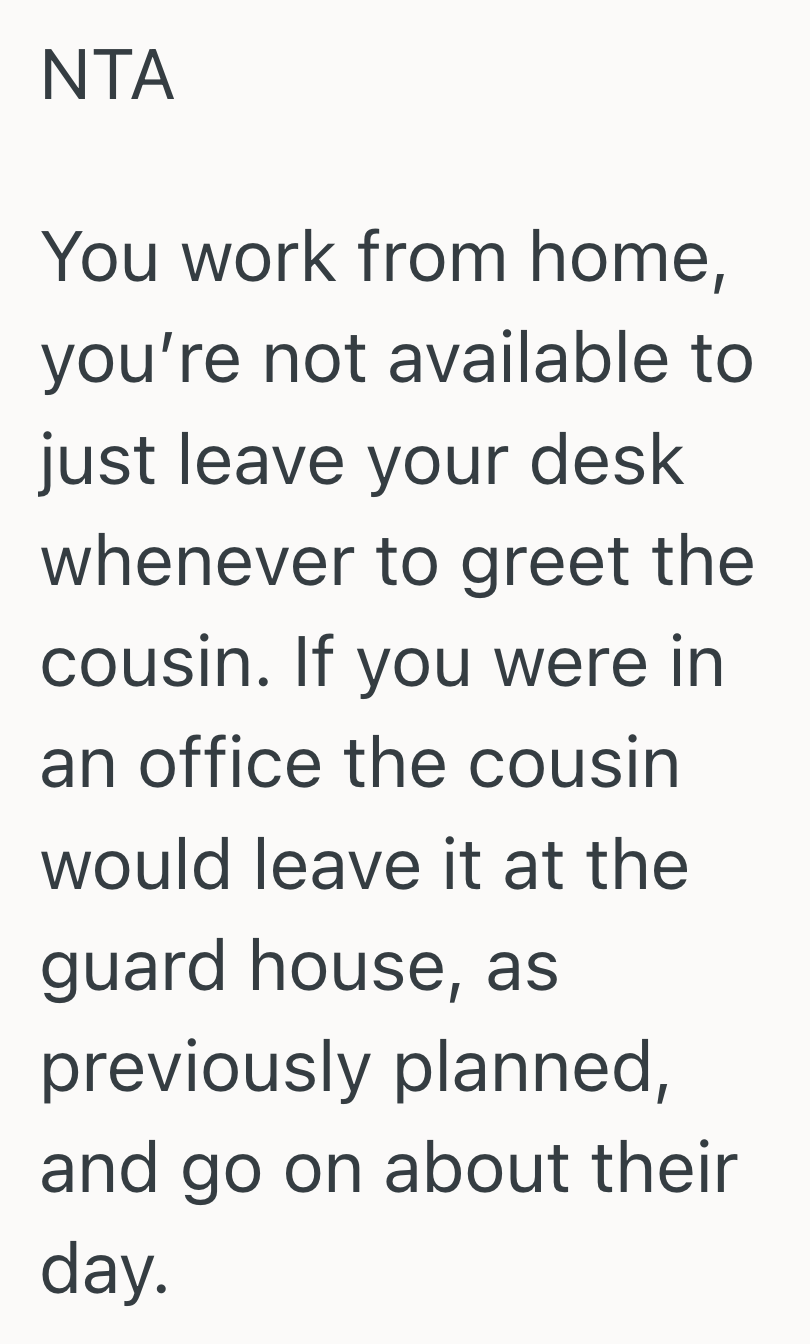 Screenshot 2025 10 17 at 12.35.53 PM Boyfriend Chose To Keep Working Instead Of Greeting His Girlfriends Cousin Who Was Delivering A Package, So She Accused Him Of Being Rude To Her Family