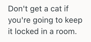 Screenshot 2025 10 17 at 5.38.17 PM Young Woman Wanted To Get Her Own Cat, So She Asked Her Roommates And They Suddenly Claimed They Were Allergic