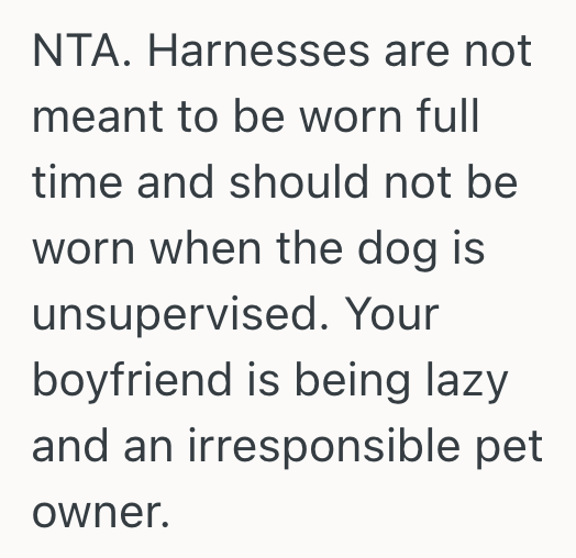 Screenshot 2025 10 18 at 12.43.56 PM Womans Boyfriend Gets Upset When She Asks Him If He Took The Dogs Harness Off, But She Doesnt Want Their Dog To Sleep With His Harness On All Night
