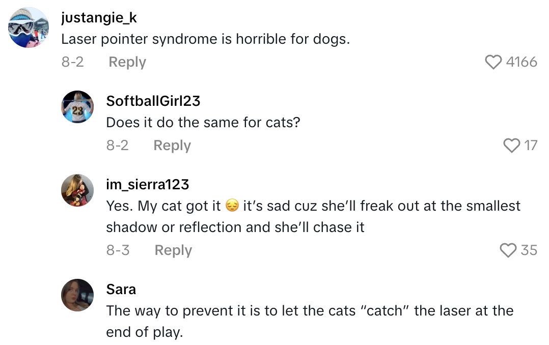 Screenshot 2025 10 18 at 2.04.01 PM A TikTokker Warned Viewers About Using A Mirror To Play With Their Dogs