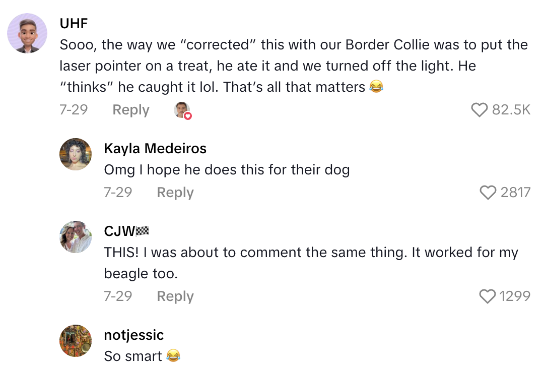 Screenshot 2025 10 18 at 2.04.12 PM A TikTokker Warned Viewers About Using A Mirror To Play With Their Dogs