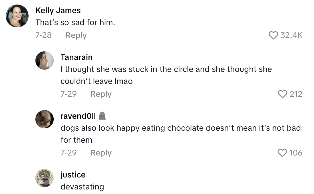 Screenshot 2025 10 18 at 2.04.44 PM A TikTokker Warned Viewers About Using A Mirror To Play With Their Dogs