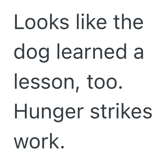 Screenshot 2025 10 21 at 8.18.30 PM Dog Sitter Tried To Follow Her Sister’s Confusing Feeding Rules, So The Picky Dog Went On A Hunger Strike Until He Got His Way