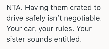 Screenshot 2025 10 23 at 1.43.52 AM Woman Offered Her Sister A Free Ride To Grandmas, But She Refused Her Demand To Bring Two Unruly Dogs And Let Them Roam Freely In The Car