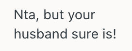 Screenshot 2025 10 23 at 2.01.26 AM Wife Politely Asked Her Husband To Take Their Toddler With Him While She Was On Bed Rest, But He Got Mad At Her And Called Her Lazy Instead