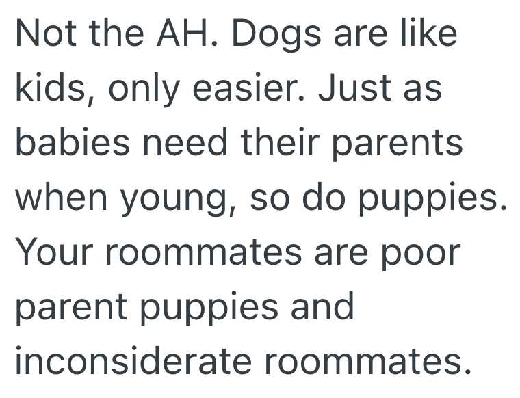 Screenshot 2025 10 23 at 3.06.31 PM College Student Loses Patience With Roommates’ Screaming Puppy, But They Say She’s The One Out of Line
