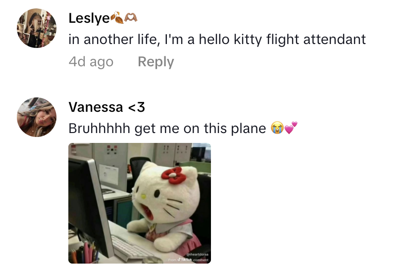 Screenshot 2025 10 23 at 9.20.28 AM A Traveler Showed Folks What It Was Like To Fly On A Hello Kitty Themed Airplane