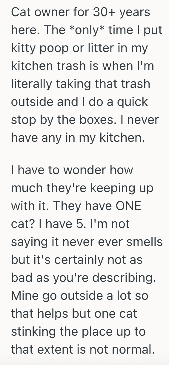 Screenshot 2025 10 23 at 9.28.42 PM Roommates All Agree That One Couple In The House Can Get A Cat, But The Smell From The Kitty Litter Has Become Unbearable