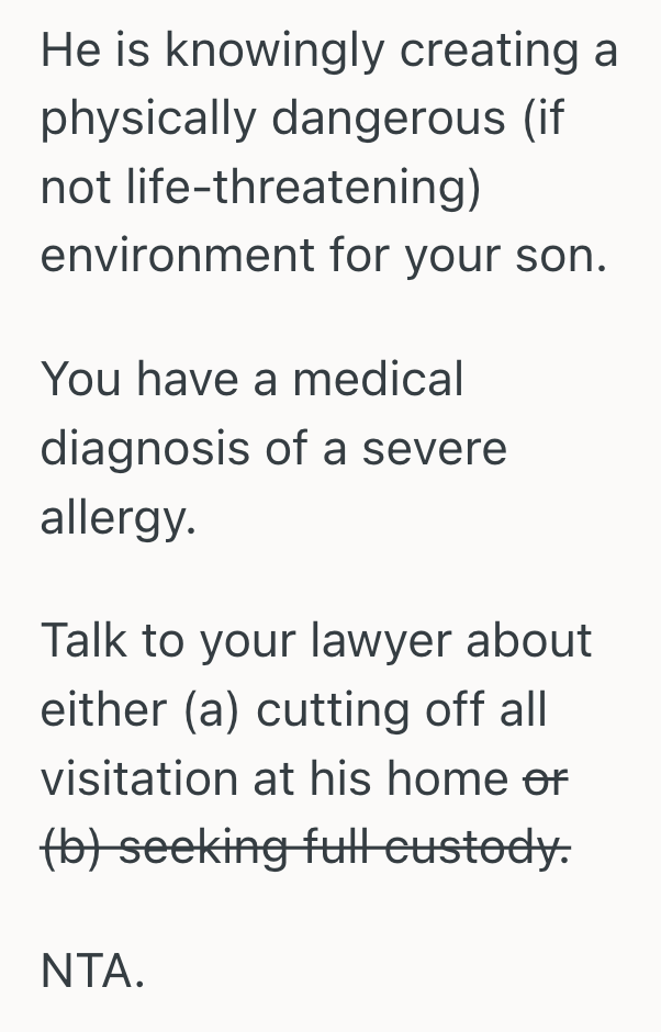 Screenshot 2025 10 24 at 6.51.29 PM Mother Pleaded With Her Ex To Rehome His Cats After Their Son’s Allergy Sent Him To The Hospital, But Her Ex Refused