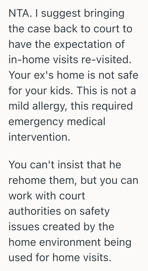 Screenshot 2025 10 24 at 6.52.00 PM Mother Pleaded With Her Ex To Rehome His Cats After Their Son’s Allergy Sent Him To The Hospital, But Her Ex Refused